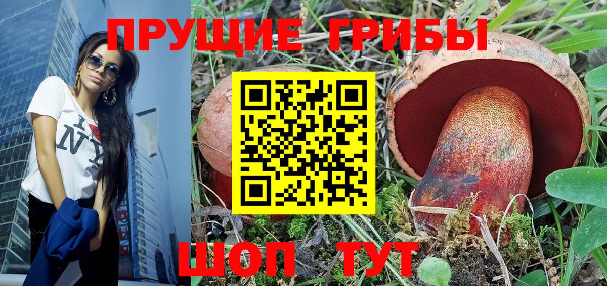 Псилоцибиновые грибы мицелий  магазин продажи   Вязники  Вход с VPN  Псилоцибиновые грибы Magic Shrooms 